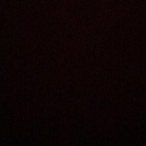 Meet your Posher, Augie